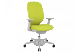 Krzesło dziecięce ergonomiczne FITTER zielono-szary