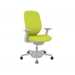 Krzesło dziecięce ergonomiczne FITTER zielono-szary