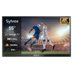 Telewizor zewnętrzny 55 4K Sylvox Deck Pro Series 2.0