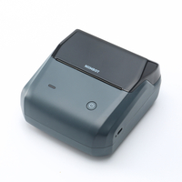 Niimbot D110 blauer Etikettendrucker