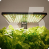 Inteligentna doniczka 10l SMART Garden biało - szara z ekranem LCD na ulubione rośliny przez cały rok Spacetronik SPGC20