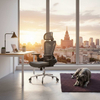 Fotel Ergonomiczny Spacetronik Axon  Szary