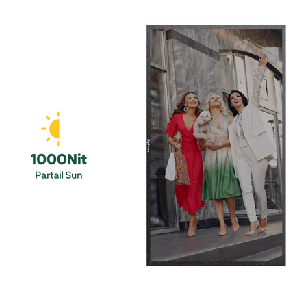 Monitor Digital Signage 4K IP66 1000 nitów Sylvox 55"