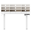 Mobile Singlel-Motor Sit-Stand Desk with Divider