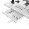 Mobile Singlel-Motor Sit-Stand Desk ASTRID