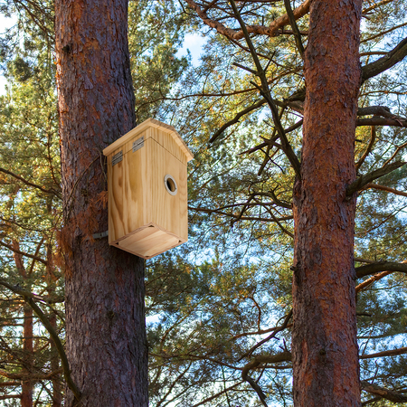 Budka lęgowa dla ptaków z kamerą WiFi App SP-BF01 Outlet A+