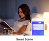 Smart Life WIFI Netzschalter SL-PB01