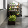 Inteligentna doniczka 10l SMART Garden zielona z ekranem LCD na ulubione rośliny przez cały rok Spacetronik SPGC20