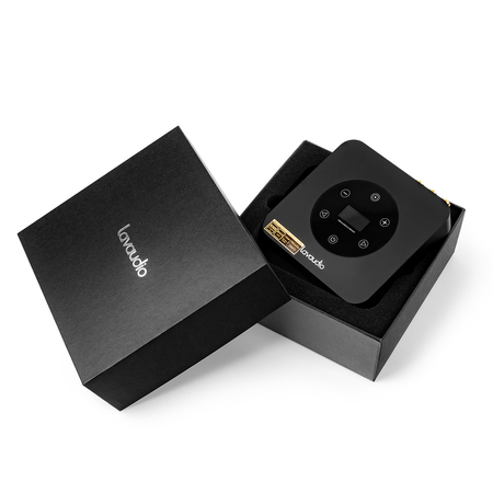 DS601 DAC Audiowandler mit Bluetooth