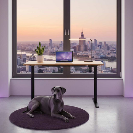 Spacetronik Moris elektrischer Schreibtisch SPE-O121 120x60, Gestell schwarz, Platte helles Holz