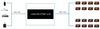 Spacetronik HDMI 1/16 Splitter SPH-RS116_V14