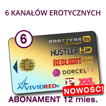 usł. dostępu do kan ELITE HD 6+ 7ch/12m VCC6