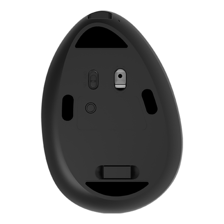 Kabellose vertikale Maus Delux M618 DB