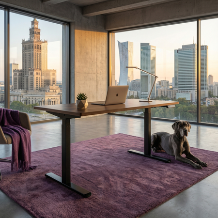 Stelaż biurka elektryczny Spacetronik SPE-114RB (czarny)