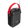 Drahtloser Sprachverstärker SP-VA22 UHF