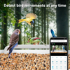 Vogelfutterautomat mit WiFi-Kamera Anwendung SP-BF13
