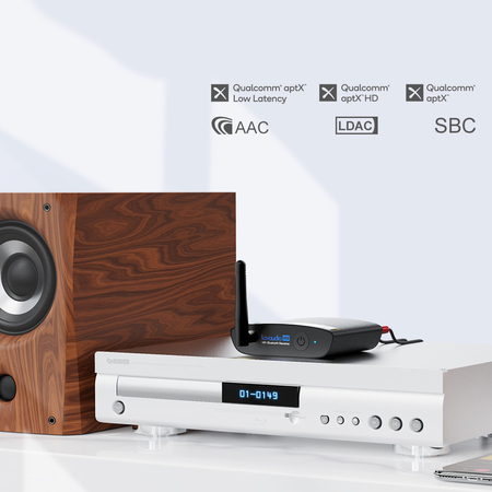 DS200 Pro DAC Audiowandler mit BT-Empfänger