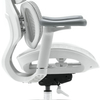 Szary fotel biurowy do ergonomicznego biura - REGULACJA 4D - Spacetronik SPRINGLE 22