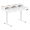 Mobile Singlel-Motor Sit-Stand Desk with Divider