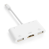 Mehrfachanschluss iPhone Lightning 9in1 SPU-M13