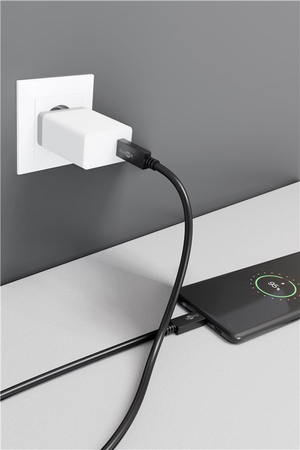 USB-C 3.2 Gen2x2 100W 20Gb/s PD Goobay Kabel 1m