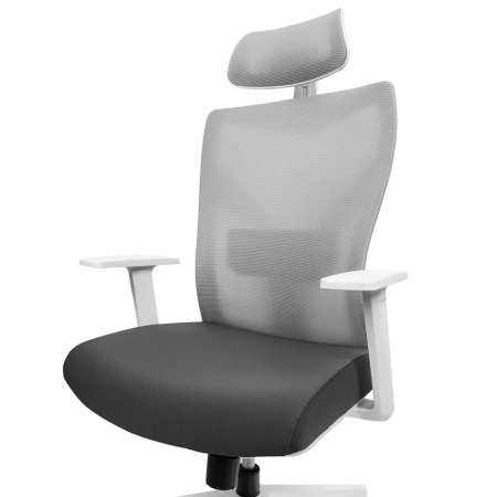 Fotel obrotowy do biurka ergonomiczny Spacetronik ELSA OUTLET