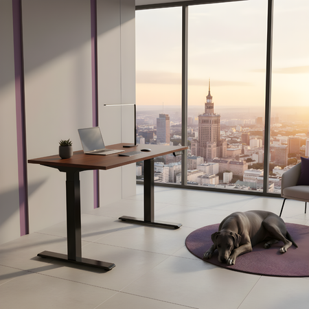 Elektrischer Schreibtischständer SPE-214AB USB - zdjęcie 2