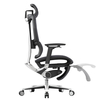 Fotel biurowy ergonomiczny TORHILD