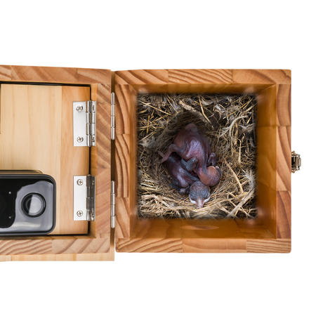 Vogelnistkasten mit WiFi-Kamera App SP-BF01