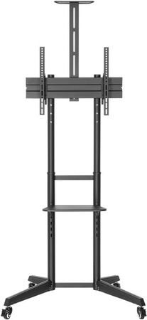 Stand prezentacyjny na kółkach z uchwytem do TV 37-70" do 50kg Goobay PRO CART L