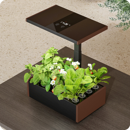 Blumentopf mit LCD-Anzeige SPGC20BC - zdjęcie 2