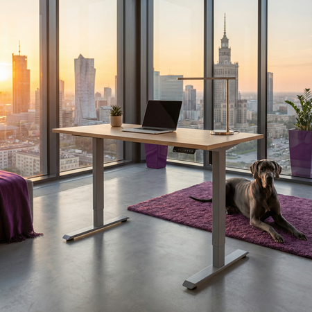 Elektryczny stelaż biurkowy Spacetronik SPE-141G USB szary