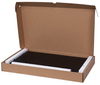 Schaltschrank 19" 1U 24xSC Simplex Schwarz Fest