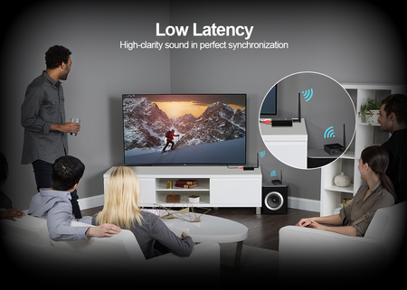 Przedłużacz Transmiter Bezprzewodowy Audio 2x RCA 100m 2,4GHz RT5066 1MII