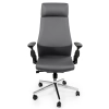 Fotel ergonomiczny biurowy z podłokietnikiem 4D Spacetronik GUNNAR szary OUTLET