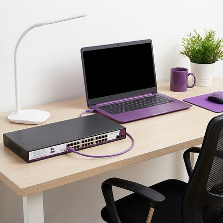 SWITCH 24x Anschluss + 2x SFP 1Gbps-Anschluss SP-SG1024S2