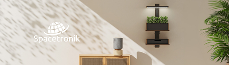 Wandregal für Blumentopf SPGC21GO Silber-Holz