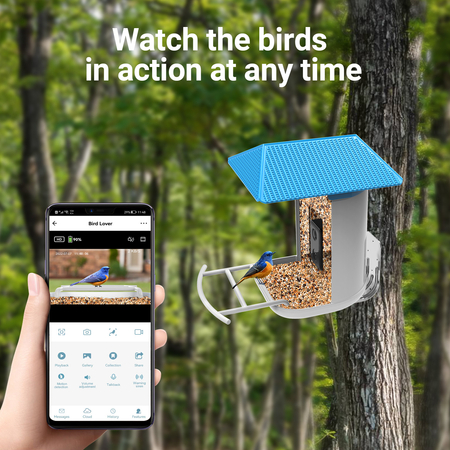Vogelfutterautomat mit WiFi-Kamera Anwendung SP-BF13
