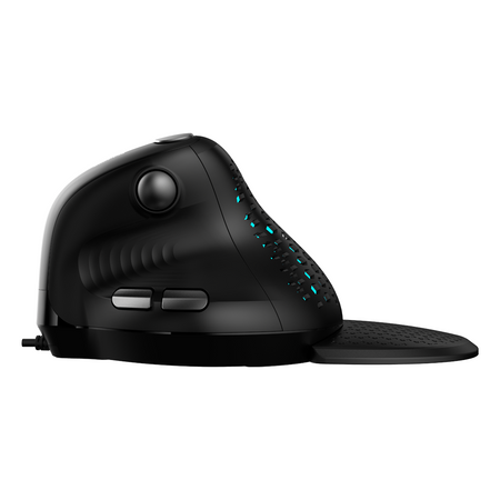 Optische Maus Delux M618XSD schwarz, kabellos.