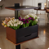 Inteligentna doniczka 10l SMART Garden biało - szara z ekranem LCD na ulubione rośliny przez cały rok Spacetronik SPGC20