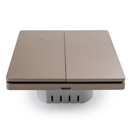 Smart Switch 2x TUYA SL-ES21 Electrum