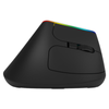 Kabellose vertikale Maus Delux M618C RGB schwarz