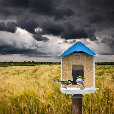 Vogelfutterautomat mit WiFi-Kamera Anwendung SP-BF11