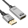 DisplayPort-Stecker