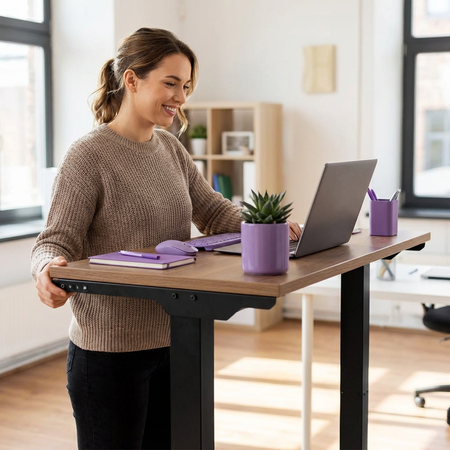 Stelaż elektryczny biurkowy Spacetronik SPE-233B