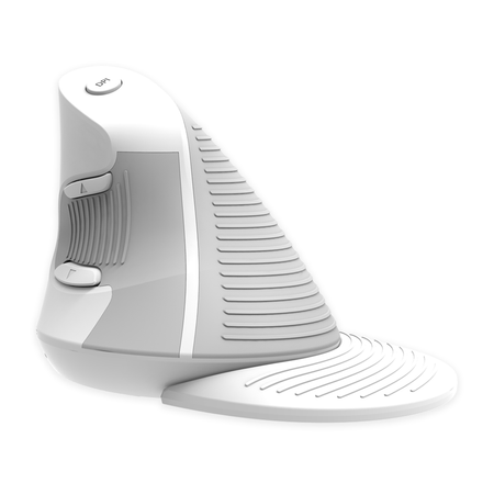 Ergonomic Delux M618G DB Maus weiß staubfrei