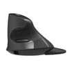 Ergonomische Maus Delux M618G DB in schwarz staubfrei