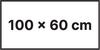100x60 Proste