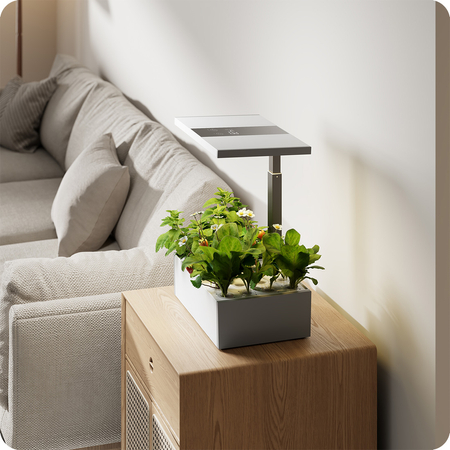 Blumentopf mit LCD-Anzeige SPGC20WL - zdjęcie 2