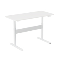 Mobile Dual-Motor Sit-Stand Desk